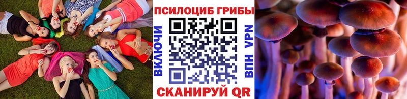 закладка  Пласт  Псилоцибиновые грибы MAGIC MUSHROOMS 